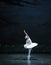 Lonely Swan-The Swan Lakeside-ballet Swan Lake
