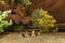 Lonely Swedish beach with bonfire place and wooden outdoor table benches at autumn night, Vasterbotten province