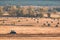 Lonely tractor harvest hay field crop stubble golden yellow orange autumn mountain background massive bulgaria technology machine