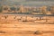 Lonely tractor harvest hay field crop stubble golden yellow orange autumn mountain background massive bulgaria technology machine