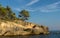 Lonely tree on cliff in Ulcinj.