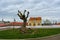 Lonely tree on the clouded sky background. Streets of Almada. Portugal. Travel. Tourism. Old town historic buildings. Europe.