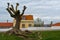 Lonely tree on the clouded sky background. Streets of Almada. Portugal. Travel. Tourism. Old town historic buildings. Europe.