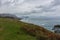 Lonely tree on coast on Atlantic ocean, Spain. Camino de Santiago landscape. Amazing coastal nature in autumn.