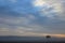 Lonely tree on the corn field at sunrise, Argentina