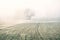 Lonely tree in a field in foggy winter morning