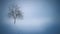 Lonely Tree in a Field of Snow 4K Loop