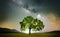 Lonely tree on field under milky way galaxy