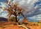 Lonely tree fights for life in the desert