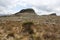 Lonely Tree with Frailejones and lonely rock mountain