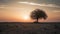 Lonely tree growing on the garbage dump, field at the sunset with copy space