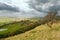 Lonely tree growing on a slope of a mountain. Warm sunny day, Cloudy sky. Beautiful Irish country side in the background