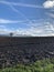 A lonely tree on the horizon stands at the junction of the blue sky with clouds and plowed lumps of wet soil after rain. Country