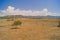 Lonely tree landscape with sky