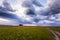 Lonely tree in the middle of a grassy savannah.