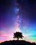 Lonely Tree With Milky Way - Starry Night