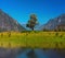 Lonely tree in mountains. Altai Russia