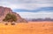 A lonely tree near the Lawrence spring at Wadi Rum, Jordan