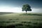 Lonely tree over the hill in a vast meadow. Copy space for text.