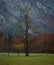 Lonely tree in Slovenian mountains