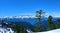 Lonely tree and snowcapped mountains. Douglas Fur tree on the poupular trail to Elfin Lakes near Vancouver and Squamish. British C