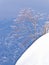 Lonely tree on a snowy cliff, mountain Vogel, slovenian Alps