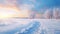 Lonely tree in the snowy field. Path leading through beautiful winter landscape