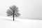 Lonely tree on a snowy field in winter, black and white