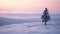 Lonely Tree On Snowy Hill: A Captivating Winter Landscape