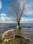 Lonely tree and stones in the lake, wind and waves crash against the shore of the lake