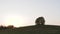 Lonely tree on top of a hill landscape sunny countryside