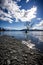 The lonely tree Wanaka, New Zealand