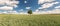 Lonely tree on a wide grain field under dramatic sky in summer banner format