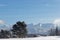 Lonely tree in a winter landscape on the plateau of Vercors