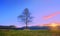 Lonely treee at sunset near Itxina mountain