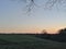 Lonely trees standing in the center of the farm