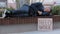 Lonely unhappy upset African American guy who lost job lying on park bench. Black millennial has forfeit income due