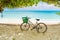 Lonely vintage bicycle on the tropical  sandy beach by a palm tree with sky and calm sea at background