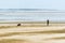 A lonely walk on the beach at Llansteffan, Wales beside the river Towy estuary