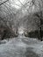 Lonely walk in the frozen park