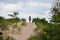 Lonely walk in Indiana Dunes State Park, USA