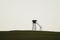 Lonely watch tower. observation post standing alone on the hill. hunting lodge in the field. solitude concept