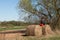 Lonely whomen is siting on the hay. On the background of the countryside near a tree. Solitude. Holding a red heart