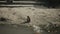 A lonely wild monkey sitting at a river bank. Kathmandu, Nepal. Pashupatinath temple