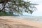 Lonely wild sand beach on tropical island