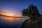 Lonely willow near the lake at sunset