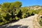 A lonely winding road curving through the Spanish mountains