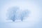 Lonely Winter Tree. Sweet Solitude. Cold and Cloudy day with much snow in the Washington, USA. Blizzard and fog in east coast.