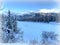 Lonely wolf sitting on a frozen river in Canada