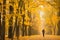 Lonely woman walking in park on a foggy autumn day. Lonely woman enjoying nature landscape in autumn.